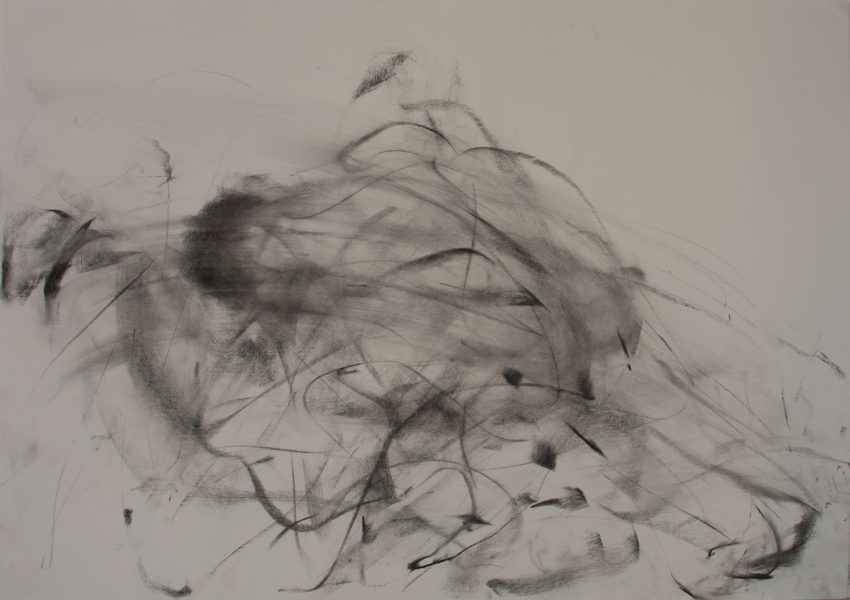 Clayberg, 2007, Pastel and charcoal on paper, 27.75 x 39.50 inches